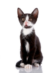 Similar image 2889670