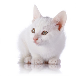 Similar image 2889671