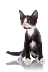 Similar image 2889673