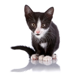 Similar image 2889674