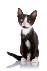 Similar image 2889675