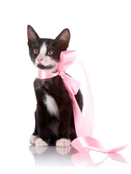 Similar image 2889677