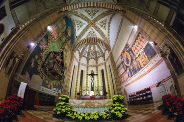 Similar image 2889694