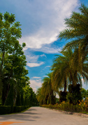 Similar image 2889723