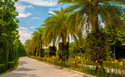 Similar image 2889724