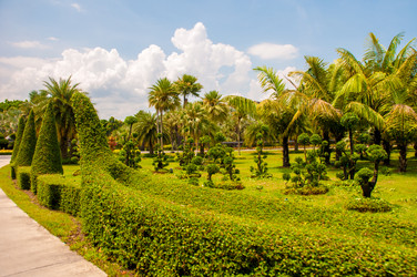 Similar image 2889727