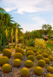 Similar image 2889733