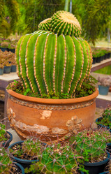 Similar image 2889734