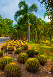 Similar image 2889735