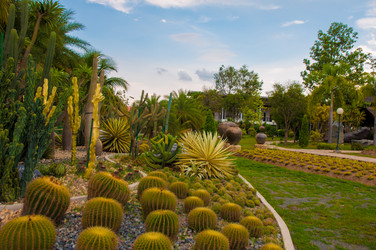 Similar image 2889737