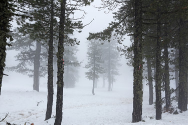 Similar image 2889801