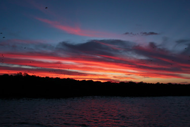 Similar image 2889825