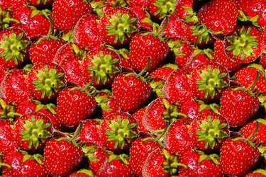 Similar image 2889839