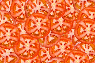 Similar image 2889840