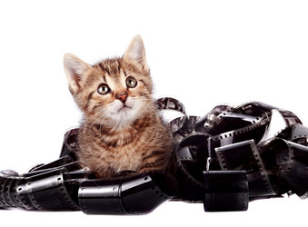 Similar image 2889876