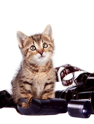 Similar image 2889877