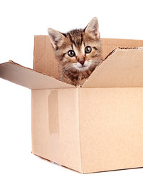 Similar image 2889881