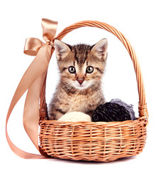 Similar image 2889884