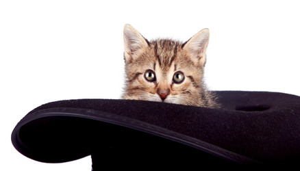 Similar image 2889895