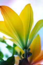 Similar image 2889898