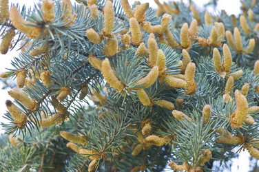 Similar image 2889945