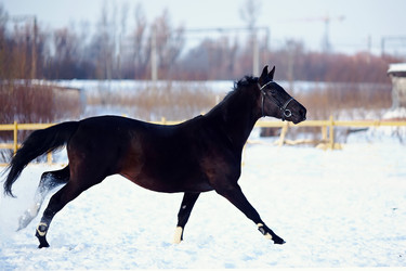 Similar image 2889950