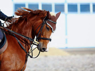 Similar image 2889953