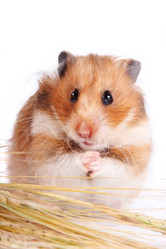 Similar image 2890091