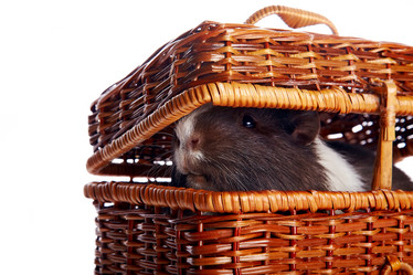 Similar image 2890098