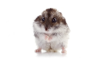 Similar image 2890106