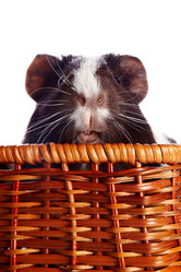 Similar image 2890124