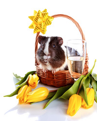 Similar image 2890131