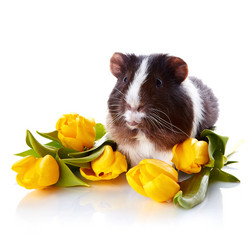 Similar image 2890137