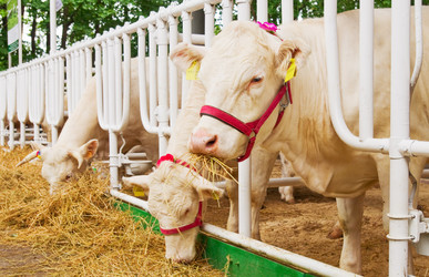 Similar image 2890172