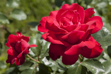 Similar image 2890186