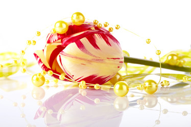 Similar image 2890187