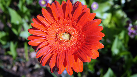 Similar image 2890193