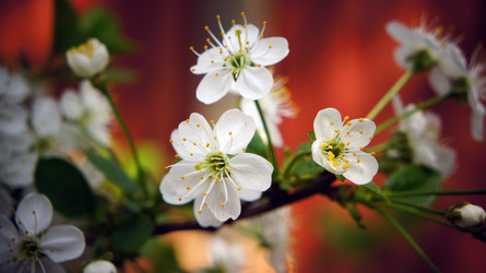 Similar image 2890196