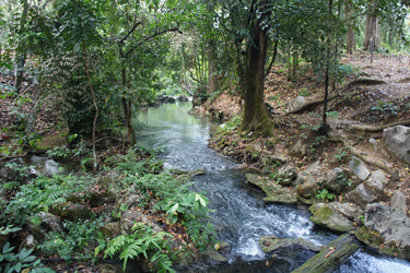 Similar image 2890197