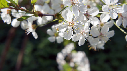 Similar image 2890200