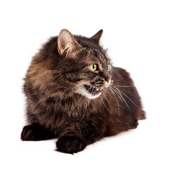 Similar image 2890207