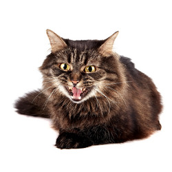 Similar image 2890210