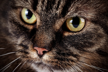 Similar image 2890236