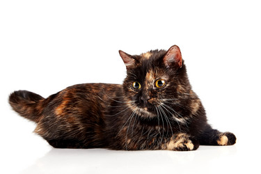 Similar image 2890250