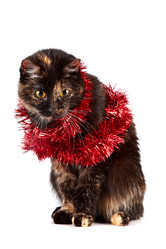 Similar image 2890252