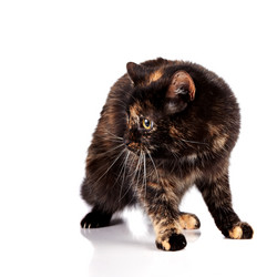 Similar image 2890266