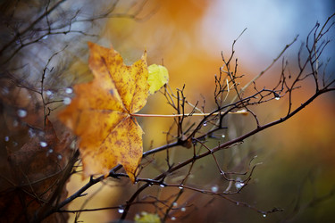 Similar image 2890289