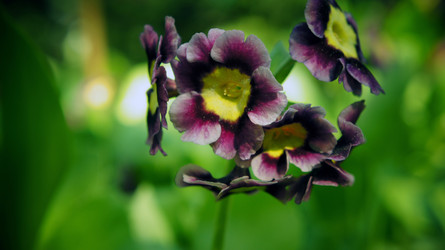 Similar image 2890333