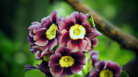 Similar image 2890334