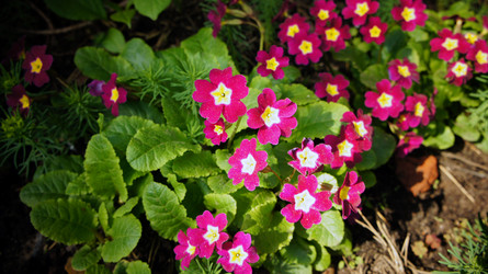 Similar image 2890335